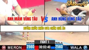 TRẬN 1 C3 11/6/2025