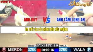 TRẬN 10 C1 10/6/2025