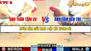 TRẬN 10 C2 11/6/2025