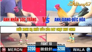 TRẬN 10 C3 10/6/2025