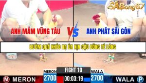 TRẬN 10 C3 11/6/2025
