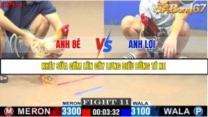 TRẬN 11 C1 10/6/2025