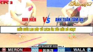 TRẬN 11 C2 11/6/2025