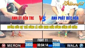 TRẬN 11 C3 10/6/2025