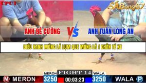 TRẬN 14 C1 10/6/2025