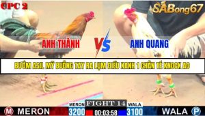 TRẬN 14 C2 11/6/2025