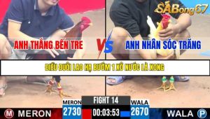 TRẬN 14 C3 10/6/2025