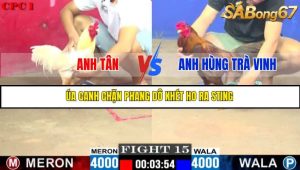 TRẬN 15 C1 10/6/2025