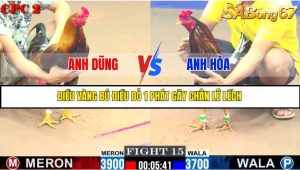 TRẬN 15 C2 11/6/2025