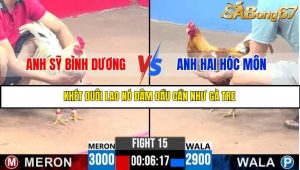 TRẬN 15 C3 11/6/2025