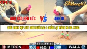 TRẬN 16 C2 11/6/2025