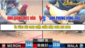 TRẬN 16 C3 10/6/2025