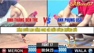 TRẬN 17 C3 10/6/2025