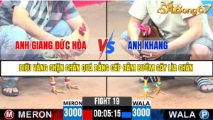 TRẬN 19 C3 10/6/2025