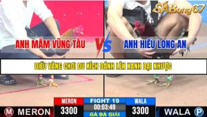 TRẬN 19 C3 11/6/2025