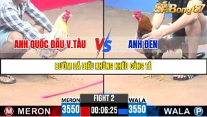 TRẬN 2 C3 11/6/2025