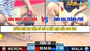 TRẬN 20 C3 10/6/2025