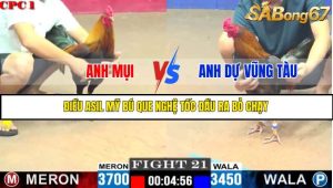 TRẬN 21 C1 10/6/2025