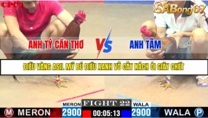 TRẬN 22 C1 10/6/2025