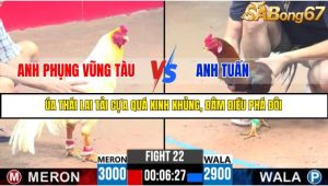 TRẬN 22 C3 10/6/2025