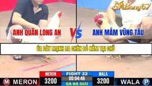TRẬN 22 C3 11/6/2025