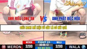 TRẬN 23 C3 11/6/2025