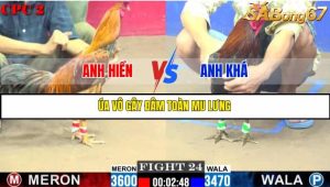 TRẬN 24 C2 11/6/2025