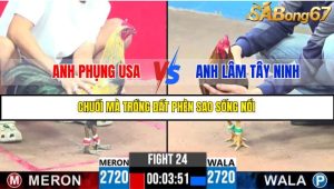 TRẬN 24 C3 10/6/2025