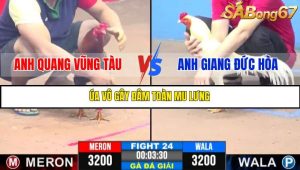 TRẬN 24 C3 11/6/2025