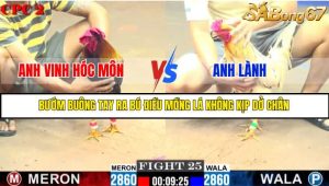 TRẬN 25 C2 11/6/2025