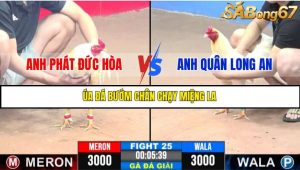 TRẬN 25 C3 11/6/2025