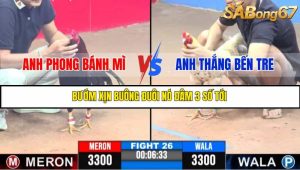 TRẬN 26 C3 11/6/2025