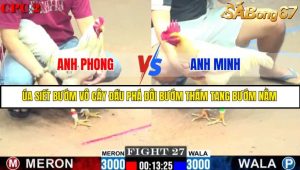 TRẬN 27 C2 11/6/2025