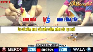 TRẬN 28 C1 10/6/2025