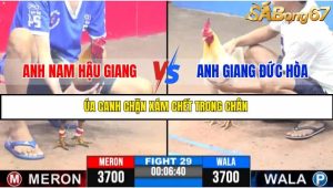TRẬN 29 C3 11/6/2025