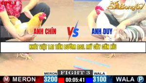 TRẬN 3 C1 10/6/2025