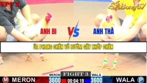 TRẬN 3 C2 11/6/2025