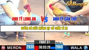 TRẬN 31 C1 10/6/2025