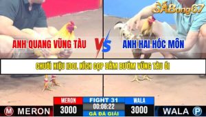 TRẬN 31 C3 11/6/2025