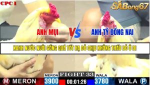 TRẬN 33 C1 10/6/2025