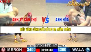 TRẬN 37 C1 10/6/2025