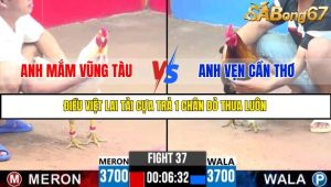 TRẬN 37 C3 9/6/2025