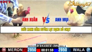 TRẬN 38 C1 10/6/2025