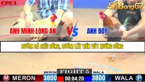 TRẬN 5 C1 10/6/2025