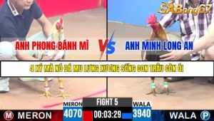 TRẬN 5 C3 11/6/2025