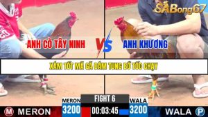 TRẬN 6 C3 10/6/2025