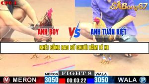 TRẬN 8 C1 10/6/2025