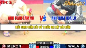 TRẬN 8 C2 11/6/2025