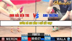 TRẬN 8 C3 10/6/2025