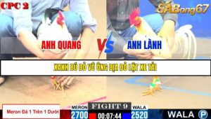 TRẬN 9 C2 11/6/2025